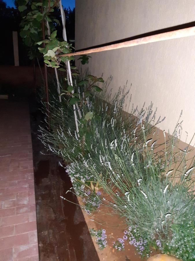 Studio Apartman San 3 Ližnjan Exterior foto