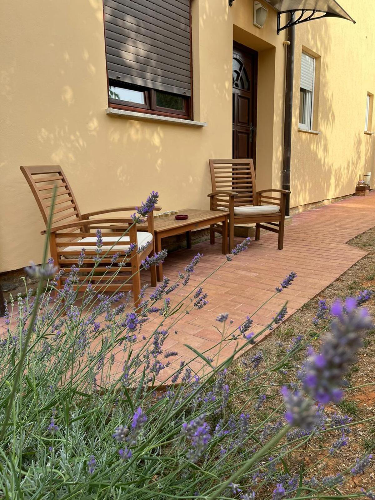 Studio Apartman San 3 Ližnjan Zimmer foto
